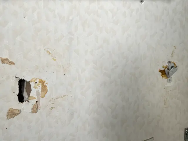 ☆初出店☆　クロスの穴補修お任せ下さい！サービスの画像