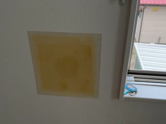 ☆初出店☆　クロスの穴補修お任せ下さい！サービスの画像