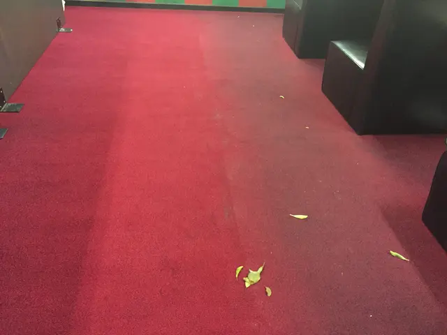 【カーペットクリーニング】ご自身では難しいカーペットのお掃除もお任せください★サービスの画像