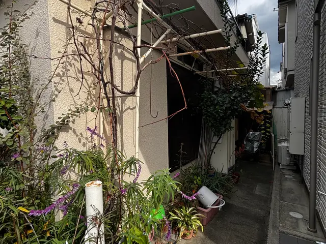 ☆新春キャンペーン料金50%オフ☆『虫バリア付き』【害虫駆除/ノミ】サービスの画像