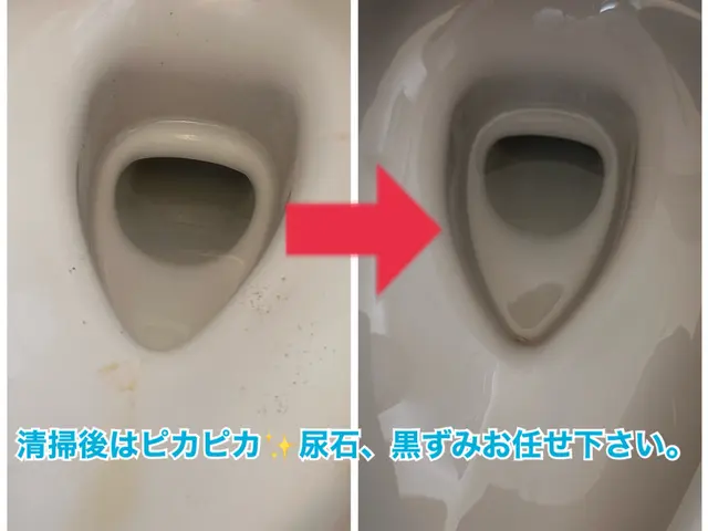 ◆トイレ除菌清掃、尿石、黒ずみ除去で徹底清掃！プロの白さに納得！ホテル仕上げ！サービスの画像