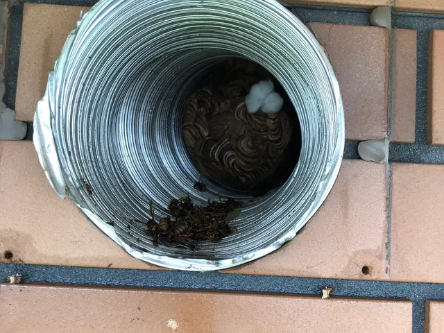 秋田ハチ駆除専門店！2020年NHKでハチ駆除取材で放送されました！サービスの画像