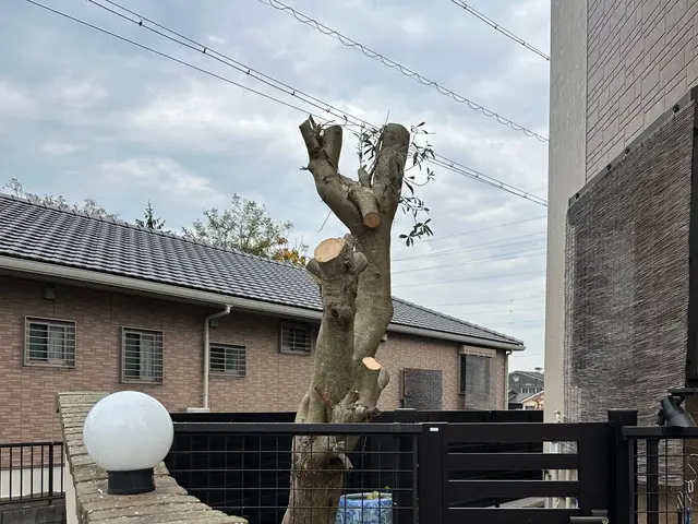 プロの技術でご満足いただけるように心を込めて作業いたしますサービスの画像