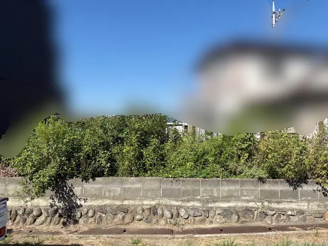 【女性スタッフ同行】ご要望を丁寧にお聞きし、理想の庭を実現するオーダーメイド剪定サービスの画像