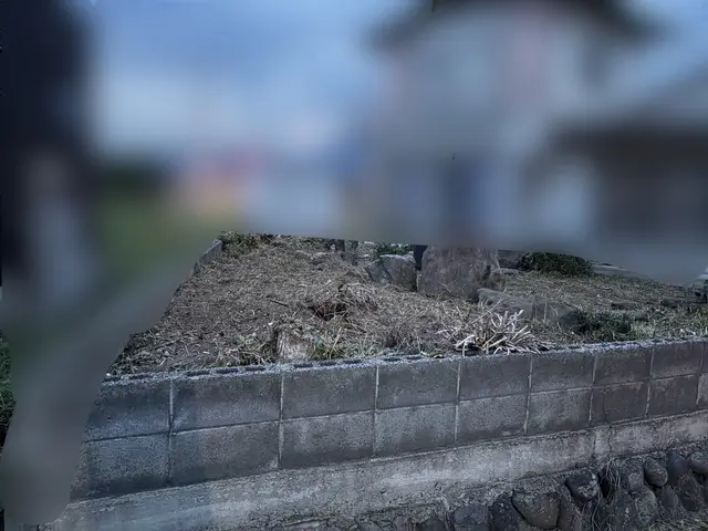 【女性スタッフ同行】ご要望を丁寧にお聞きし、理想の庭を実現するオーダーメイド剪定サービスの画像