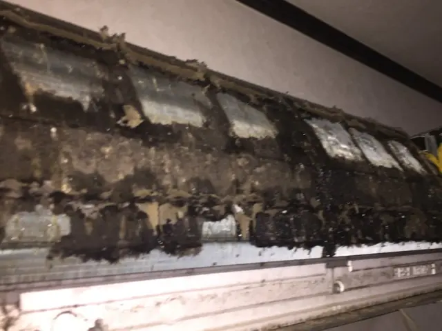 酷使したエアコンを綺麗に！^_^特別割引実施中【丁寧さと技術力に自信有り！】サービスの画像