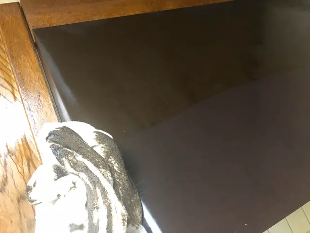 専用薬剤でピカピカに！コミュニケーションを大切にしている会社です。サービスの画像