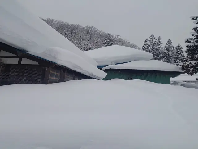 雪かきのご予約も受付しております。サービスの画像