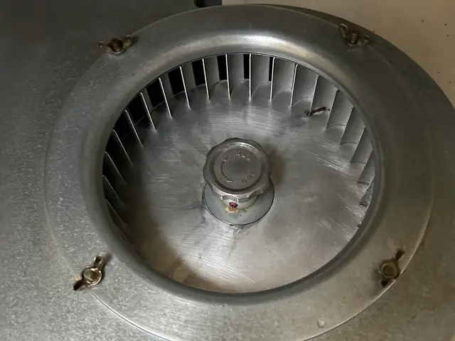 自社開発した環境に優しい洗剤を使いキッチンと換気扇を徹底洗浄致します。サービスの画像