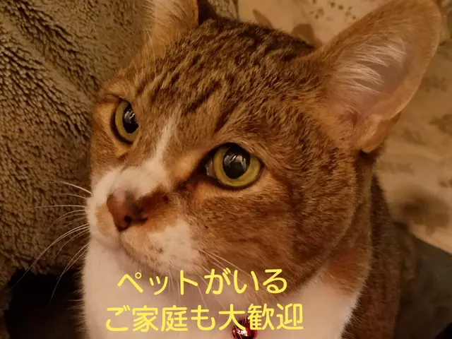 【熊本県】迷ったら当店へ  期待に応えます抗菌コート無料サービスの画像