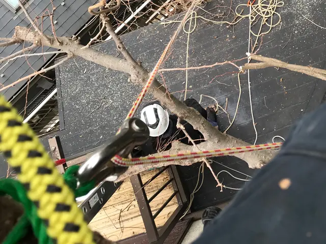 実績10年以上◎〜難しい伐採・抜根もまずはご相談ください〜サービスの画像