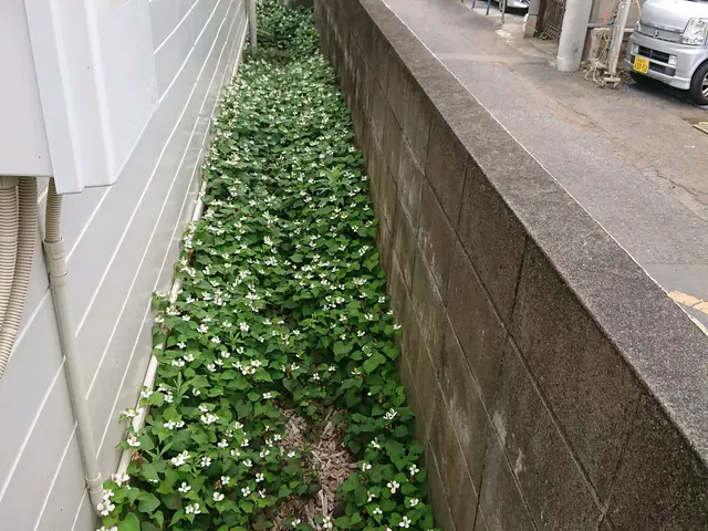 【職人歴10年以上の経験】◆年中無休◆駐車代お店負担◆損害保険加入店◆サービスの画像