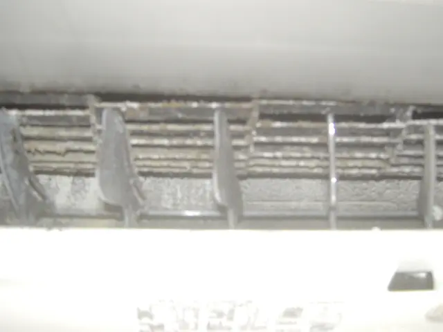 ★お子様にも安心な天然植物洗剤使用！複数台で割引！抗菌コート無料！サービスの画像