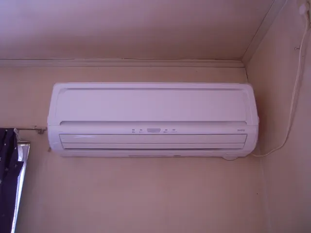 ★お子様にも安心な天然植物洗剤使用！複数台で割引！抗菌コート無料！サービスの画像