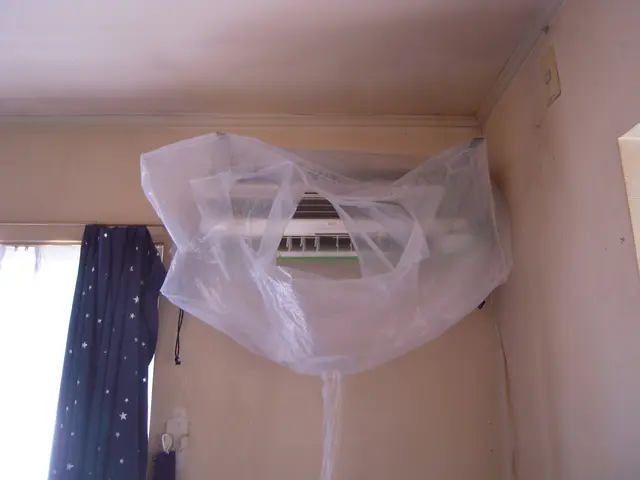 ★お子様にも安心な天然植物洗剤使用！複数台で割引！抗菌コート無料！サービスの画像