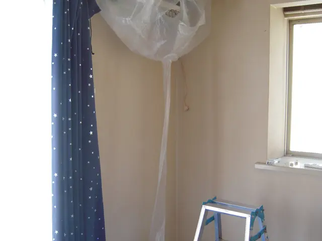 ★お子様にも安心な天然植物洗剤使用！複数台で割引！抗菌コート無料！サービスの画像