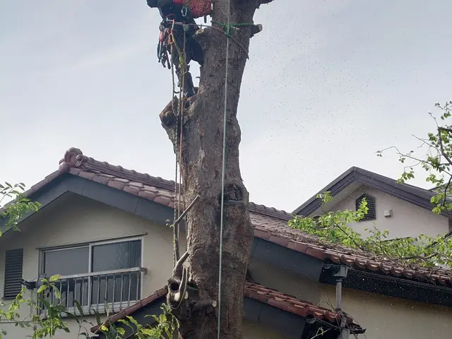 【荒川区】損害保険加入済み！御客様の後納得のいく庭作りを目指しております！サービスの画像