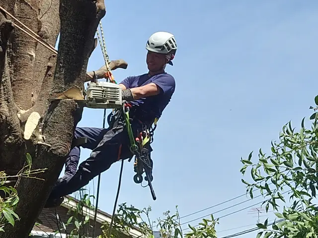 【荒川区】損害保険加入済み！御客様の後納得のいく庭作りを目指しております！サービスの画像