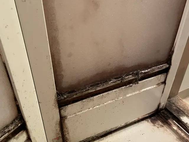 セットがお得！年末大掃除が出来なかった方！綺麗になって、気持ちも明るく！サービスの画像