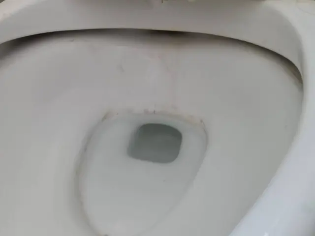 水周り5点セット！掃除したい！と思って開いた今がやり時です！年末大掃除にも！サービスの画像