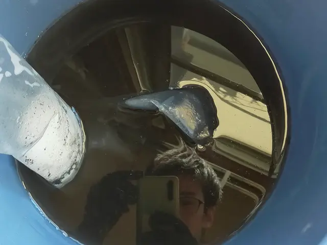 お値段以上の満足度！汚れやカビを徹底除去！！今なら抗菌コート無料！！サービスの画像