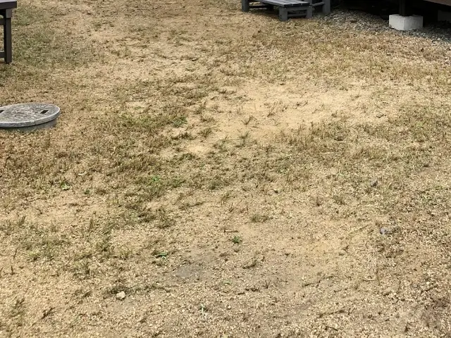 【年中無休】土日祝もご予約大歓迎◆大坂府泉州中心・地域密着店舗◆サービスの画像