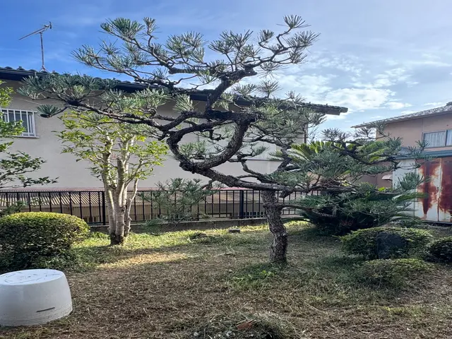 植栽剪定のことならお任せください。サービスの画像