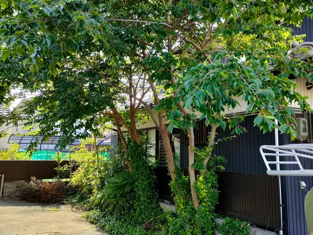 伐採＆抜根は「お庭屋 N-works」にお任せ下さい！サービスの画像