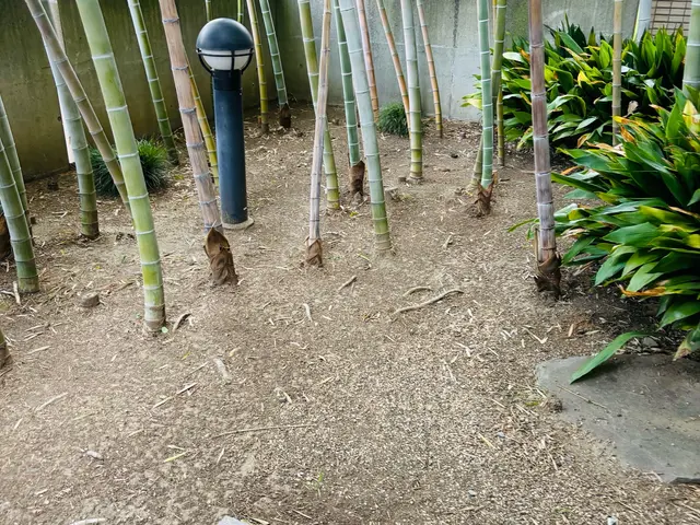 【私が訪問◎】◆笑顔と挨拶を大切にしてます◆30件以上の実績と丁寧な作業をお約束サービスの画像