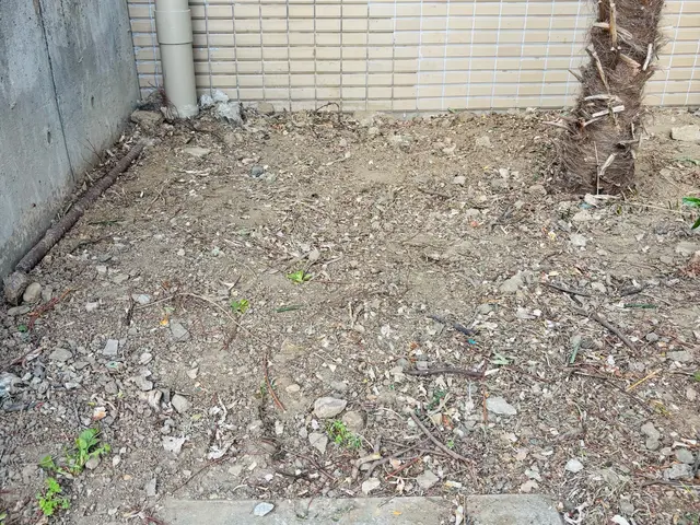 【私が訪問◎】◆笑顔と挨拶を大切にしてます◆30件以上の実績と丁寧な作業をお約束サービスの画像