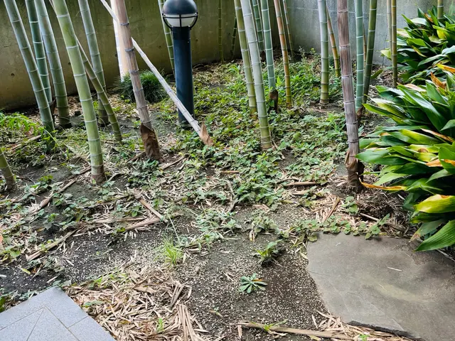 【私が訪問◎】◆笑顔と挨拶を大切にしてます◆30件以上の実績と丁寧な作業をお約束サービスの画像