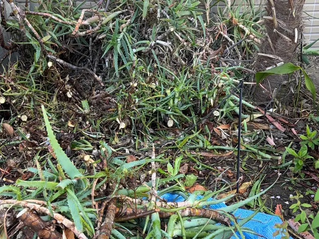 【私が訪問◎】◆笑顔と挨拶を大切にしてます◆30件以上の実績と丁寧な作業をお約束サービスの画像