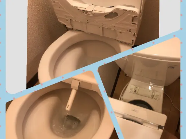 ◆お得な複数箇所割◎◆ウォシュレット便座脱着清掃◎◆ 室内消臭除菌仕上げ☆彡サービスの画像