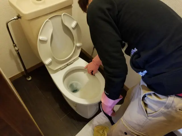 【水周り4点清掃】キッチン換気扇とお風呂、トイレ気になる4箇所を綺麗にします！サービスの画像