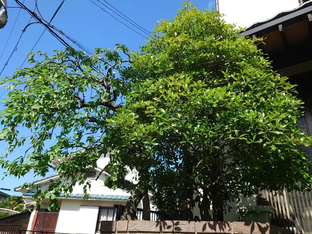 枚方市から伺います！自信の完全自社施工◎営業時間外・対応地域外でもご相談歓迎サービスの画像