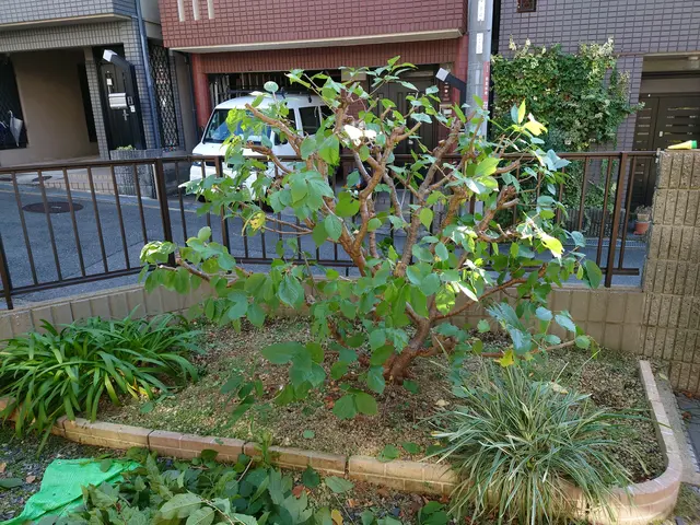 枚方市から伺います！自信の完全自社施工◎営業時間外・対応地域外でもご相談歓迎サービスの画像