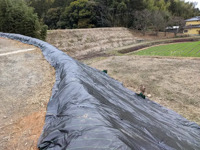 女性スタッフ在籍★年中無休★早朝深夜も対応OK★迅速丁寧に対応しますサービスの画像