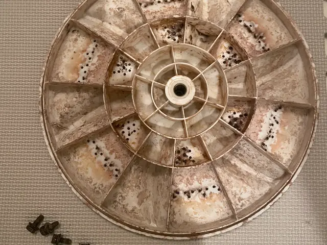 縦型洗濯機分解クリーニングサービスの画像