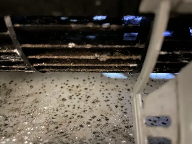 ◇抗菌消臭コート無料セール◇駐車代も無料★複数台が超お得♬高圧洗浄でカビ菌ゼロ♪サービスの画像