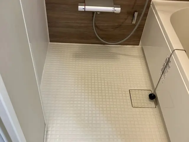 セットがお得！カビも水アカも徹底除去！サービスの画像