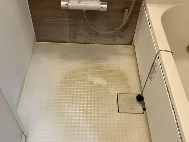 セットがお得！カビも水アカも徹底除去！サービスの画像