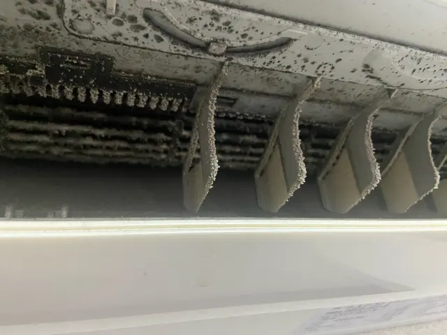 【年中無休】暑くなる前にキレイなエアコンに！土日平日深夜対応★複数台割引アリサービスの画像