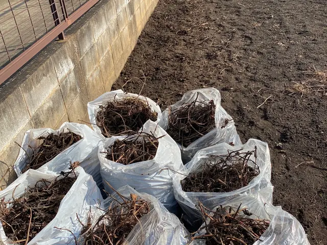 ◆岐阜市発◆便利屋本舗岐阜店年中無休・土日祝もご予約大歓迎！営業時間外も対応OKサービスの画像