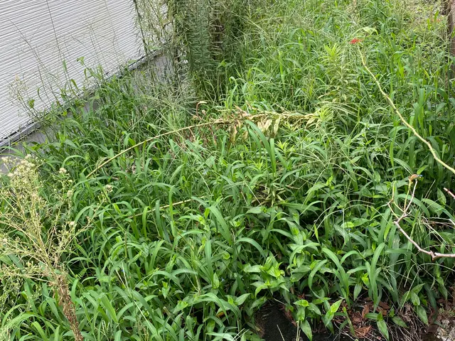 ◆岐阜市発◆便利屋本舗岐阜店年中無休・土日祝もご予約大歓迎！営業時間外も対応OKサービスの画像