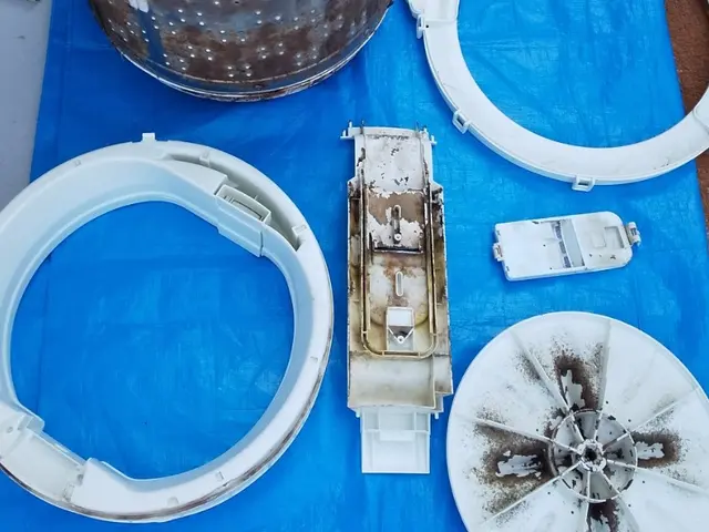 洗濯機分解除菌清掃サービスの画像