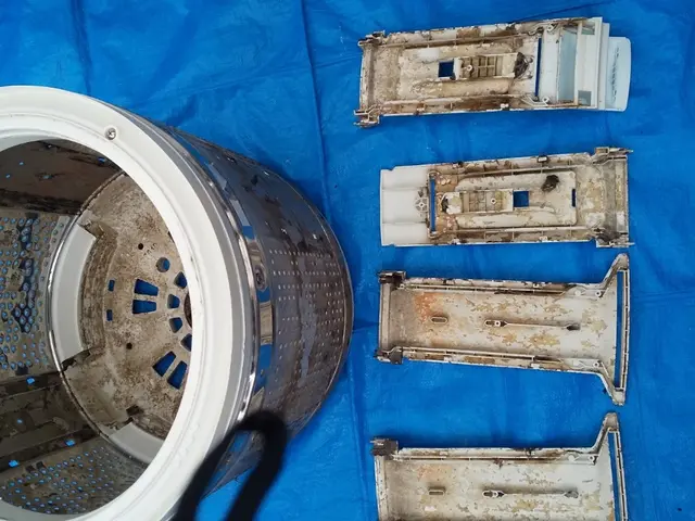 洗濯機分解除菌清掃サービスの画像