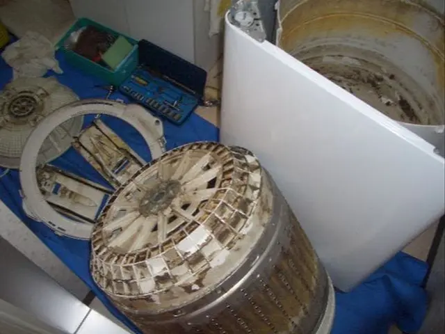 洗濯機分解除菌清掃サービスの画像