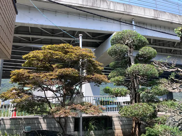 20年の実績！☆店長訪問☆早くて綺麗な仕上がり！サービスの画像