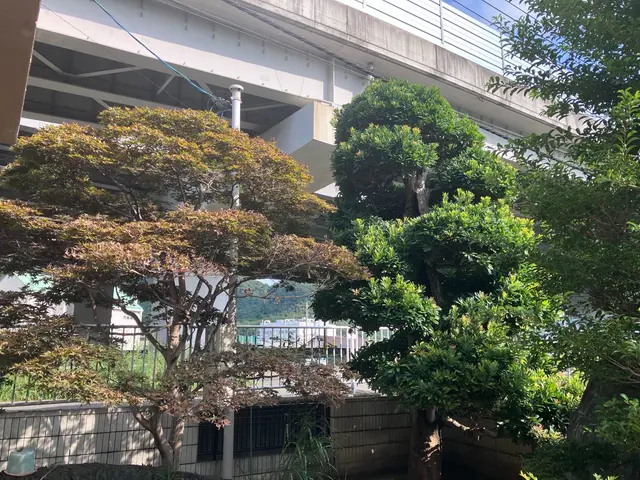 20年の実績！☆店長訪問☆早くて綺麗な仕上がり！サービスの画像