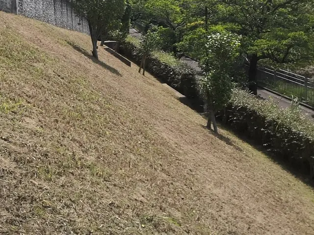 伸び放題ストップ！【業歴15年】プロの技術でお困り、お悩み事解決します！サービスの画像